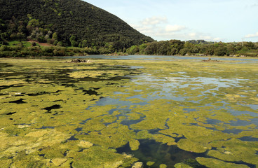 Marisma de Joyel, Soano Cantabria
