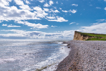 Langeland beach Dovnsklint south of Gulstav Mose with trees. The cliffs are a polular spot for...