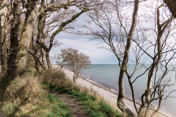 Langeland beach Dovnsklint south of Gulstav Mose with trees. The cliffs are a polular spot for birdwatching