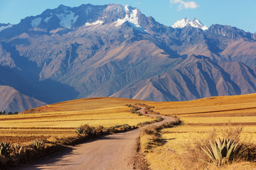 Peruvian pampa