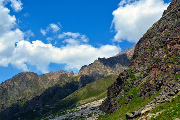 Amazing nature view of green mountain forest and tree growing on a rock, natural landscape perspective, Caucasus, Russia