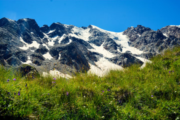 Amazing nature view of green mountain forest and tree growing on a rock, natural landscape perspective, Caucasus, Russia