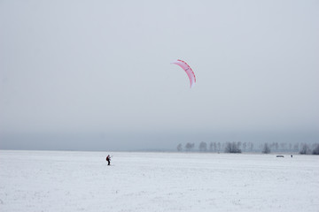 winter kite