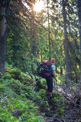 Naklejka premium Traveler among dense green forest