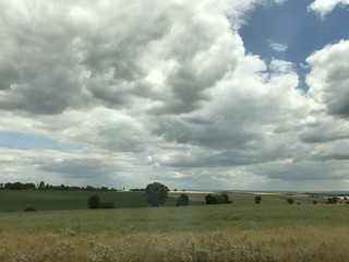 Naklejka premium Feld