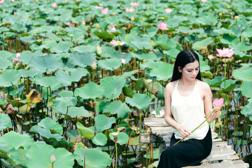 Young lady aside lotus flowers lake. Lost in the lotus season