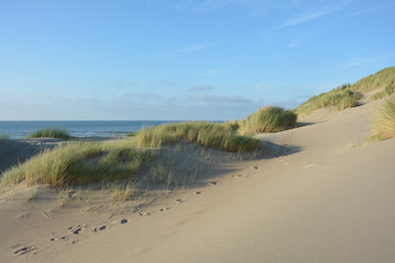 Fototapeta na wymiar In der Mitte von Sanddünen an der Nordsee mit viel Sand im Vordergrund und dem Meer im Hintergrund