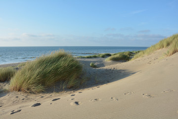 Mitten in den Sanddünen an der Nordsee   mit dem Meer im Hintergrund