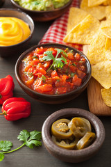 mexican nachos with guacamole, salsa and cheese dip