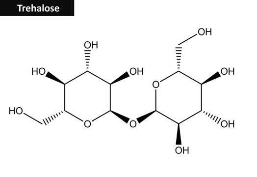 Molecular structure of Trehalose