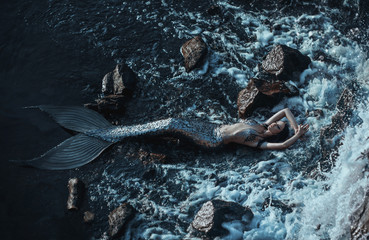 The real mermaid is resting on the ocean shore. Silver tail, the body is covered with scales....