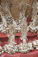  Garlic bundles on street bazaar in Istanbul
