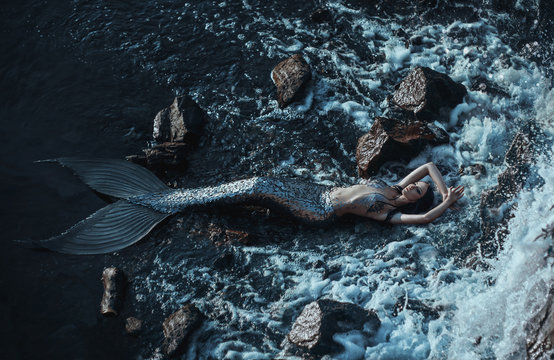 The real mermaid is resting on the ocean shore. Silver tail, the body is  covered with scales. Creative colors Stock Photo | Adobe Stock