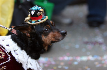 Carnevale
