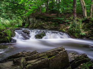 Fototapeta na wymiar Wasserfall Selkefall - Harz