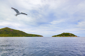 Fototapeta na wymiar Tropical island La Digue - Seychelles