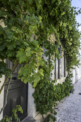 Dans les rues de l'îles de Ré