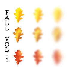 Falling realistic oak leaves set with blured variation, vector illustration