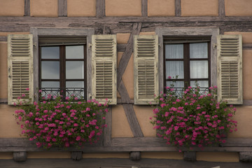 Fototapeta na wymiar Finestra, Alsazia, Francia