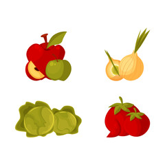 Set of cartoon farm products, fruit and vegetables - apple, bulb onion, cabbage, tomato, vector illustration isolated on white background. Cartoon style whole raw apple, bulb onion, cabbage, tomato