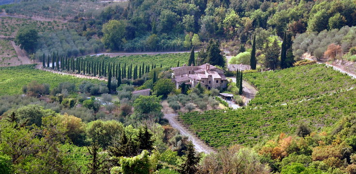 Weingut in Castellina in Chianti