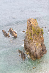 Stork nest over Cliffs on the beach,  Odeceixe