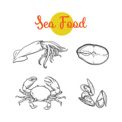 vector sketch cartoon crayfish lobster, squid and sea tuna fish set. Isolated illustration on a white background. Sea delicacy food concept