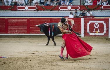 Stierenvechter in een arena.