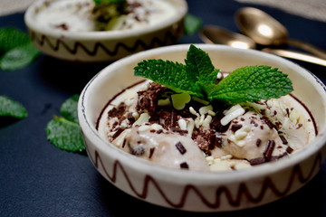 Close up of Ice Cream Bowl with Mint Leaves