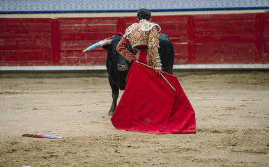 Bullfighter in a bullring.