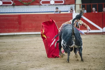 Cercles muraux Tauromachie Bullfighter in a bullring.