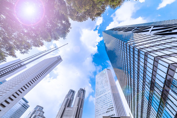 朝の新宿高層ビル群
