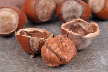 Noisettes dont une ouverte 