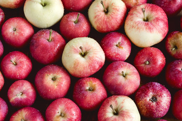 Background with small apples Wooden background Beautiful small apples Harvest background Top view