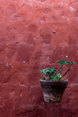 The Santa Catalina Monastery in Arequipa, Peru