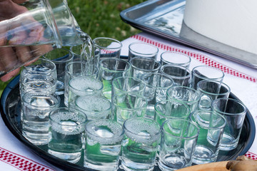 Palinca shots served at picnic party. Romanian traditional drink.