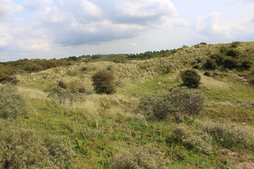 Obraz premium dunes landscape, Noordhollands Duinreservaat