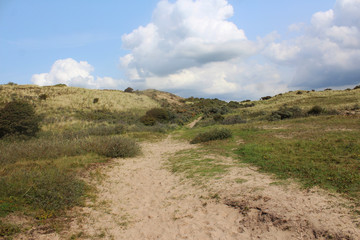 dunes landscape, Noordhollands Duinreservaat