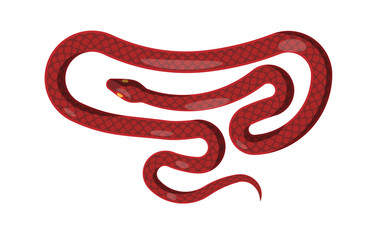 Fototapeta premium Red Snake Isolated Illustration. Cartoon Reptile
