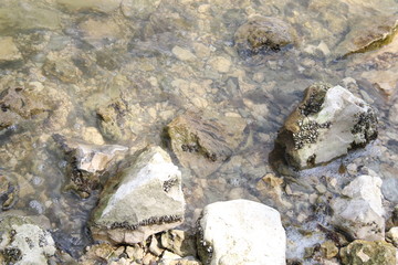 Mountain Lake, Water and stones