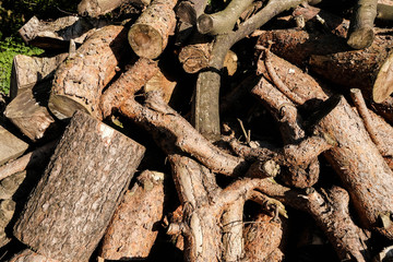 Wood Pile