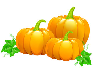 Three beautiful ripe pumpkins