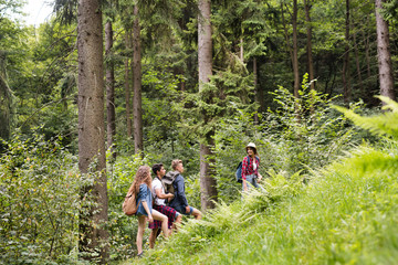 Obraz premium Teenagers with backpacks hiking in forest. Summer vacation.