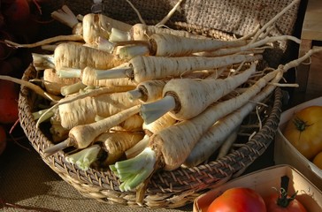 Organic parsnips for sale at the farmer's market