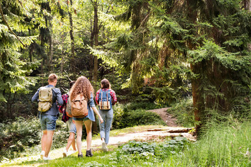 Obraz premium Teenagers with backpacks hiking in forest. Summer vacation.