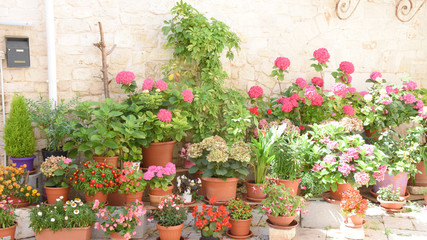 Casamassima, centro storico