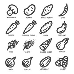 vegetable thin line icon set,vector illustration