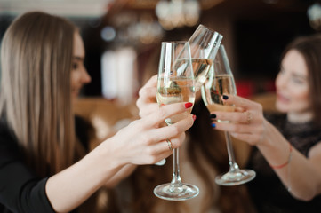 Portrait of happy young friends touching the glasses with each other