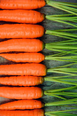Fresh garden carrots