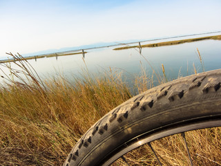 Fototapeta premium cycling in sunny day in the lagoon of Venice (blurred foreground)